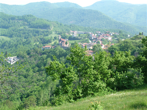 Panoramica