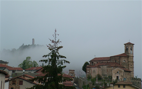 Scagnello nella nebbia